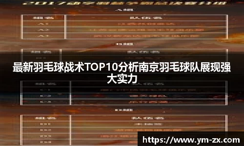 最新羽毛球战术TOP10分析南京羽毛球队展现强大实力